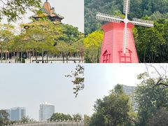 -顺峰山公园