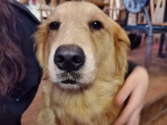 -萌喵咖啡屋(人民东路4号口M16商铺店)