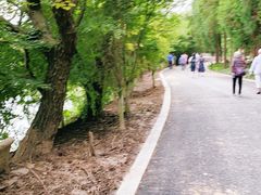 -东平国家森林公园