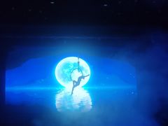 -哈尔滨波塞冬海底世界
