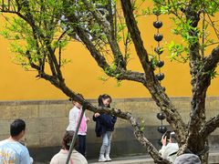 -西园寺素食(西园弄戒幢律寺店)