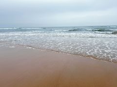 -日照海滨国家森林公园