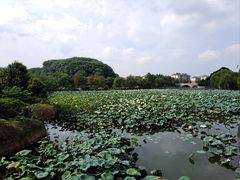 -石湖景区