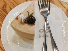-gaga(深圳南山益田假日广场店)