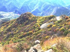 -白草畔自然风景区