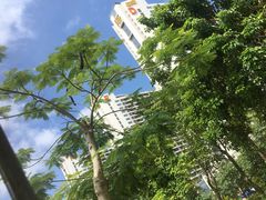 -天后宫民俗文化街
