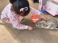 -前小桔亲子创意农场·草莓采摘·露营烧烤