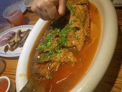 -老雒阳面馆·水席·洛阳菜(王城路店)
