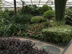 -汉堡王(北京通州领展店)