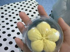 -海合安武汉极地海洋公园