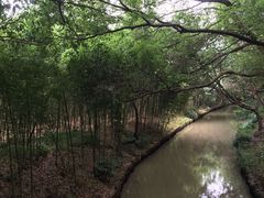 -同里国家湿地公园