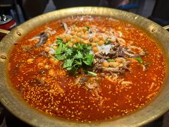 -张翻越·川渝冒菜·武汉黑鸭煲(城北万象城店)