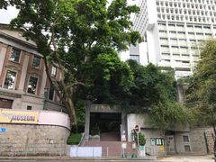 -香港大学
