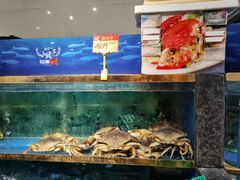 -小贝壳酒楼(经九路店)