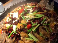 -老板恋上鱼(恒隆广场店)