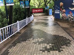 -唐廊烤鸭店(工体店)