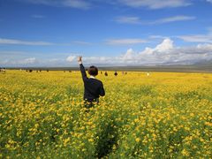 -青海湖国家重点风景名胜区