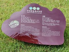 -洋湖国家湿地公园