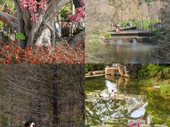 -云溪植物园
