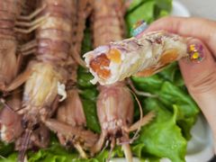 -大锅强·蒸海鲜青岛菜(吾悦广场店)