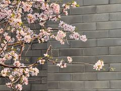 -安定门(地铁站)