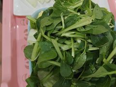 -贵州人家·酸汤火锅·20年老字号