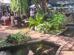 -Fern Forest Cafe