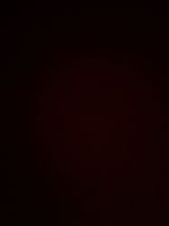 -莫莉幻想儿童乐园(郑州丹尼斯三天地店)