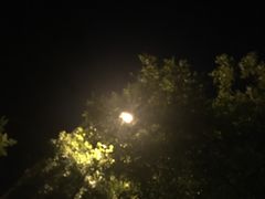 -向日葵咖啡