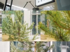 -茑屋书店(天目里店)