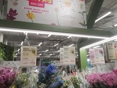 -鹿岛生活(熙地港店)