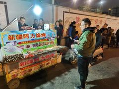 -新疆阿力烧烤