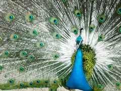 -森林公园(尖草坪区)