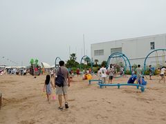 -碧海金沙