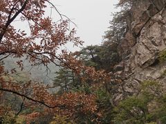 -罗田天堂寨风景区