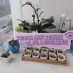 -杭州医巢医疗美容