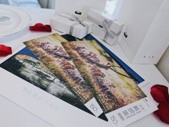 门票-罗红摄影艺术馆