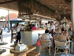 -Coco Tam’s
