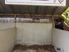 -大象粑粑造纸公园