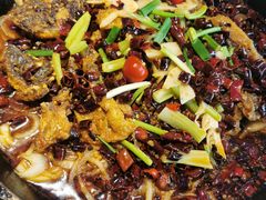 -老板恋上鱼(恒隆广场店)