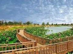 -羊亭河湿地公园