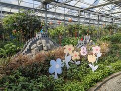 -南宫五洲植物乐园