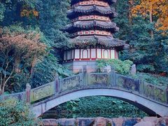 -深圳国际园林花卉博览园