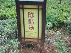 -山湖温泉