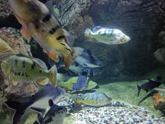 -多彩贵州城极地海洋世界