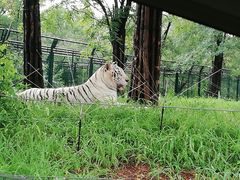 -秦皇岛野生动物园