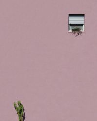 -WAVE SODA摄影工作室