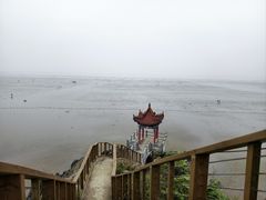 -大鹿岛