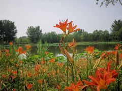 -东郊湿地公园