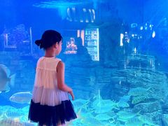 -烟台海昌鲸鲨海洋公园